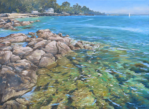 Graham Downs nz landscape artist, shallows, oil on canvas